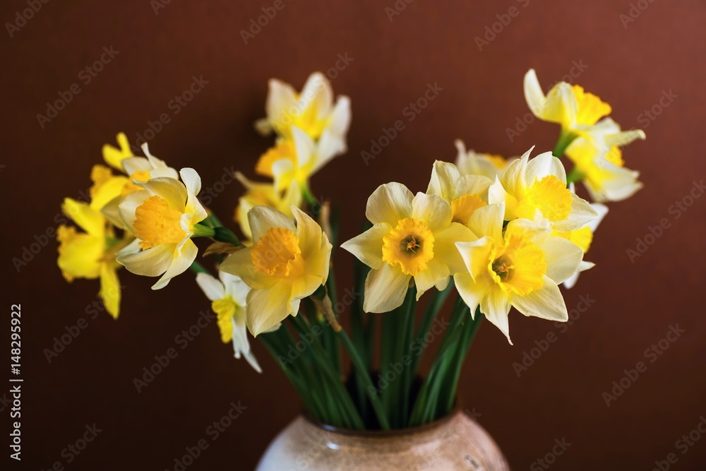 Yellow daffodil in ceramic vase on brown background.