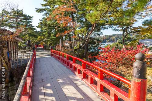 Matsushima and red bridge © leungchopan