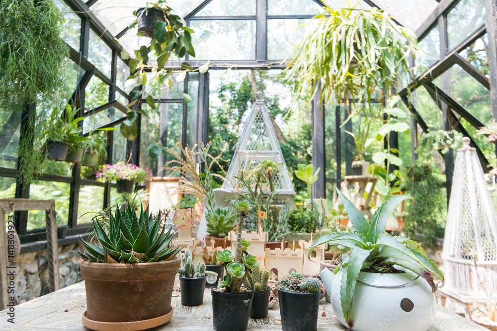 A glasshouse is a structure in which plants requiring regulated climatic conditions are grown. A glasshouse is a structure in which plants requiring regulated climatic conditions are grown.