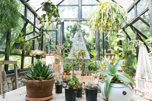 Valokuvatapetti A glasshouse  is a structure in which plants requiring regulated climatic conditions are grown