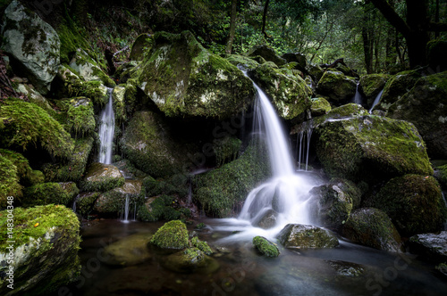 Fototapeta Naklejka Na Ścianę i Meble -  Calm Waterfall