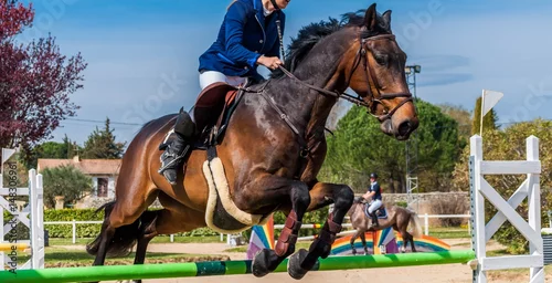 Obraz Jazda, skakanie, zawody.