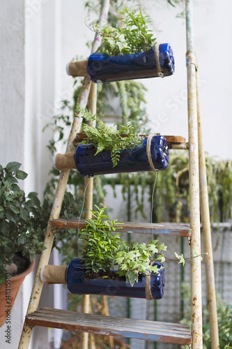 A vertical garden made with recycled bottles