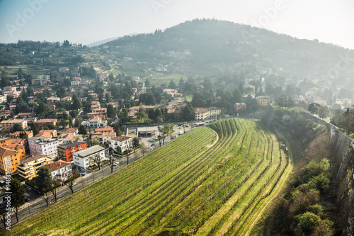 Vineyards of Brescia