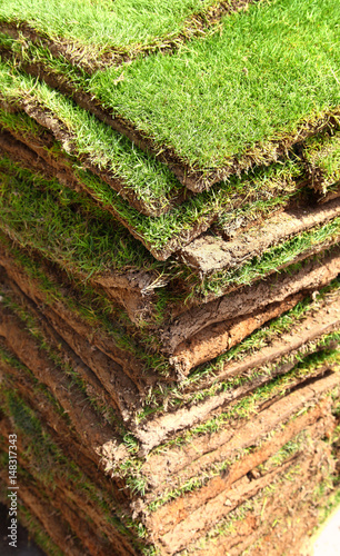 Grass Sod Squares