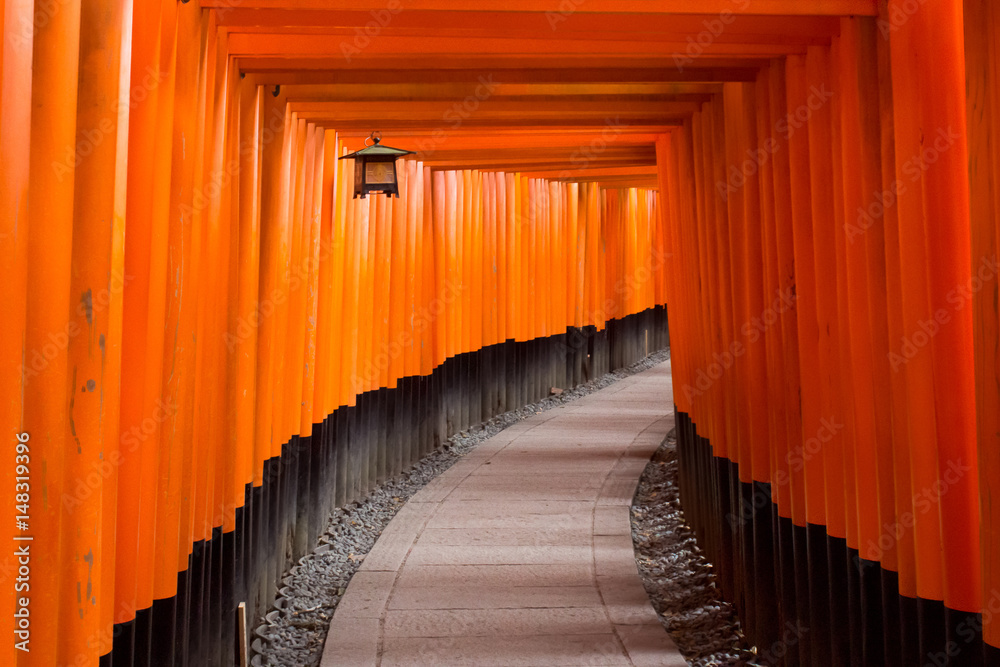 Fototapeta premium Orange torii line a curved path at the Fushimi Inari-taisha shrine outside Kyoto, Japan. A lantern hangs in soft light