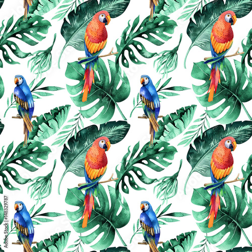 Fototapeta Akwarela wzór tropikalnych liści, gęsta dżungla. Ha