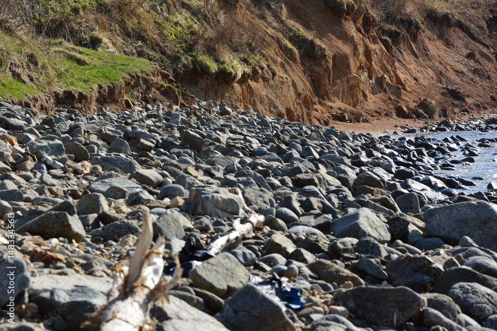 Obraz premium the sea shore