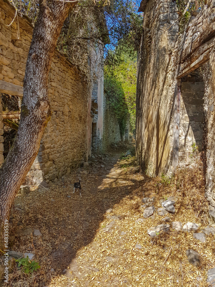 Abandoned village in the Pyrenees, Janovas, Spain Abandoned village in the Pyrenees, Janovas, Spain