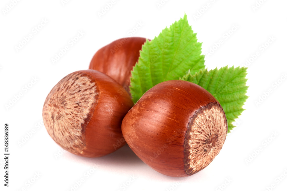Hazelnuts with leaves isolated on white background