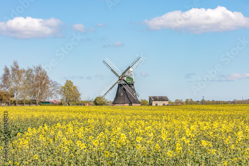 windmühle