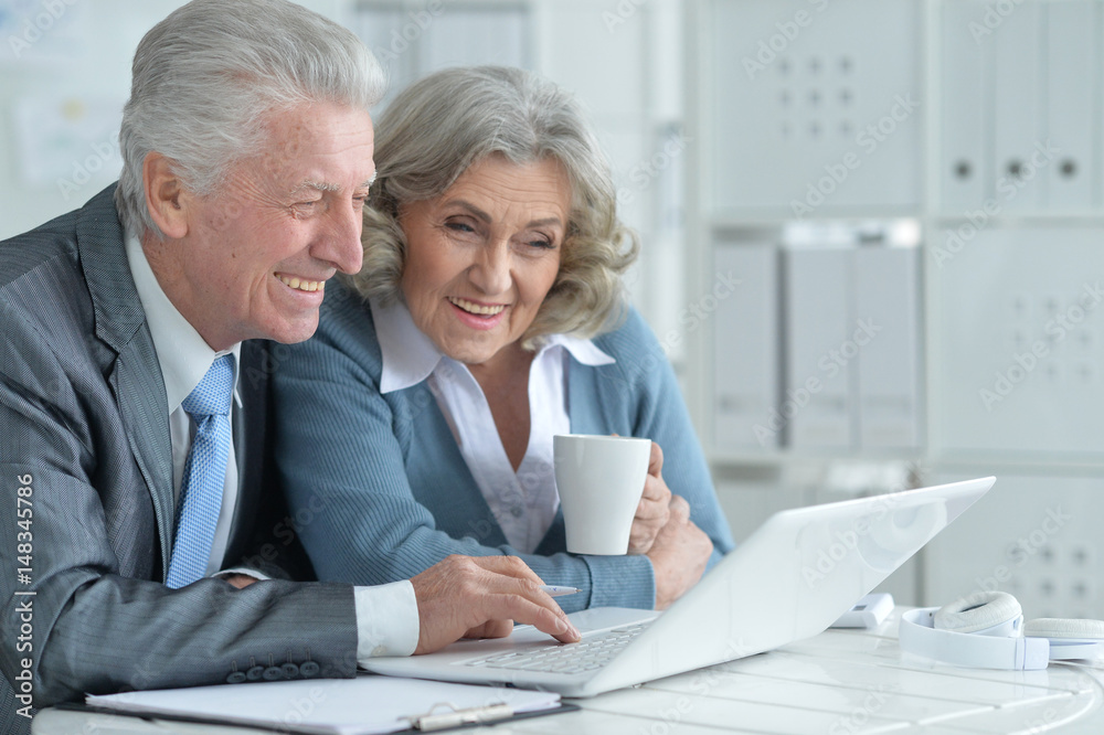 Pair of senior businesspeople working Pair of senior businesspeople working