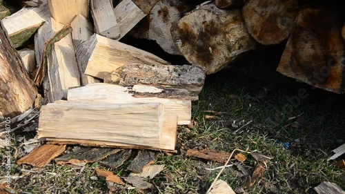 Chopped wood fell on the grass. Forestry, firewood harvesting