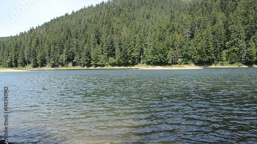 Video of the mountain lake Synevyr in the mountains.