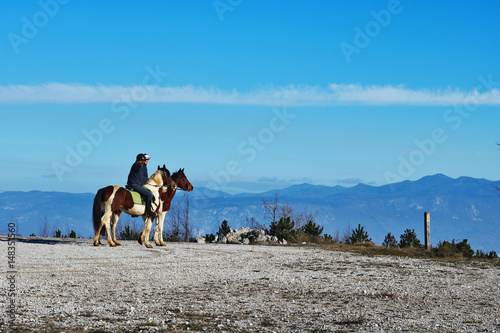 Cavalli in Montagna