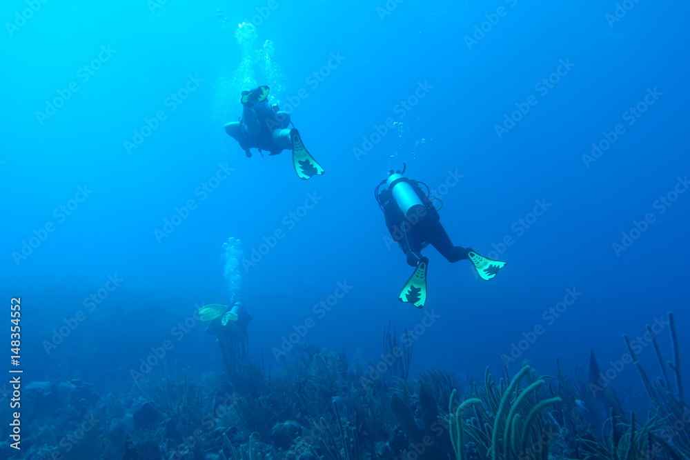 custom made wallpaper toronto digitalDiving in Puerto Rico