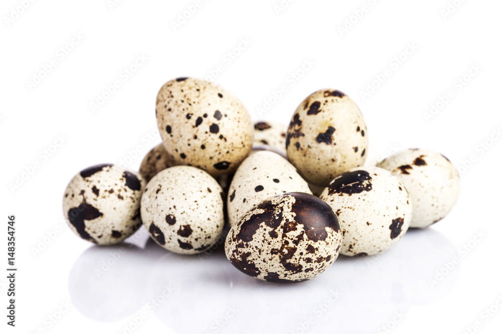 Quail egg on white background
