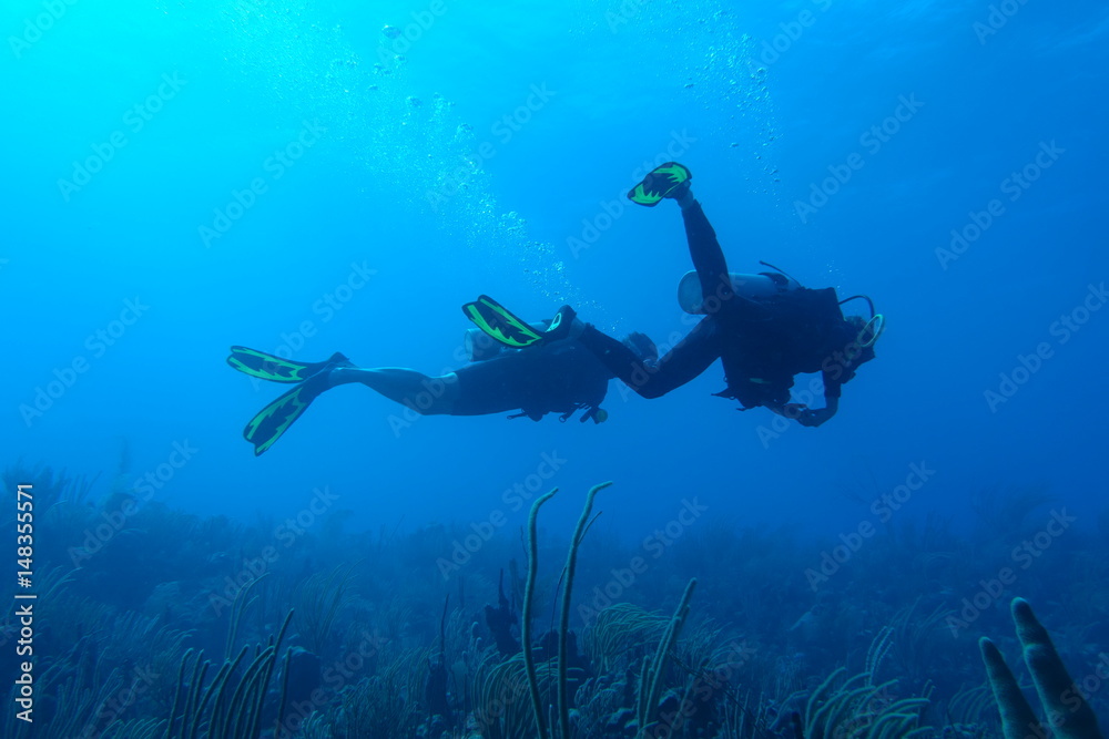 Fototapeta premium Diving in Puerto Rico