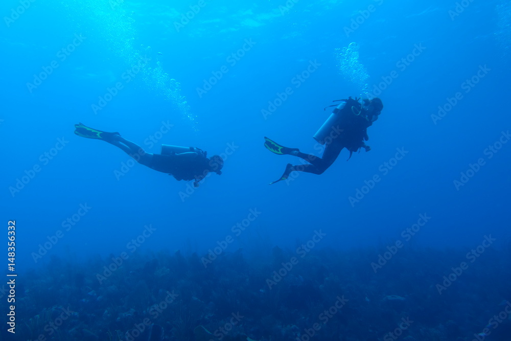 Fototapeta premium Diving in Puerto Rico