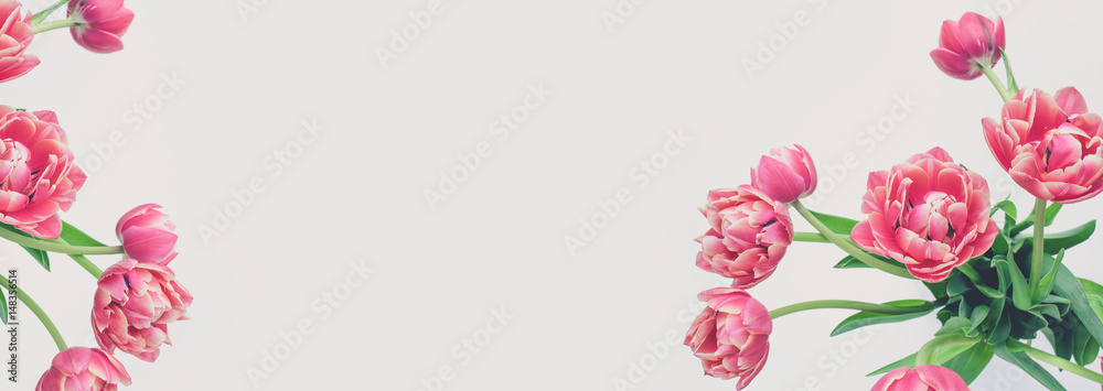 Blumen Hintergrund (Tulpen)