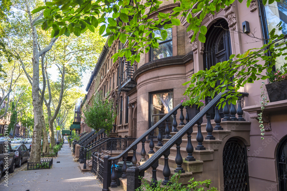 Scenic Street View Of A Leafy Block Of Stoops In A Brownstone Brooklyn scenic-street-view-of-a-leafy-block-of-stoops-in-a-brownstone-brooklyn