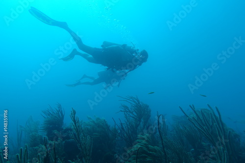 Diving in Puerto Rico