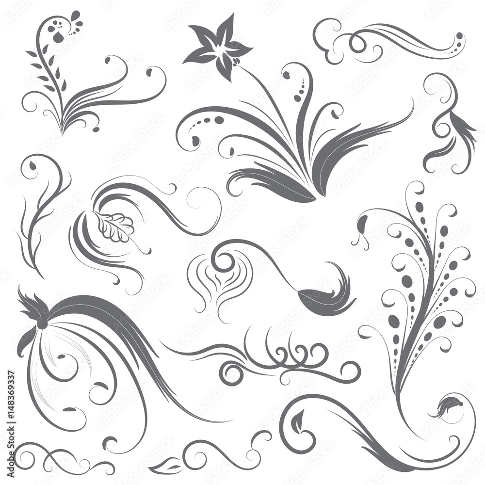 Vector of flower calligraphic design elements in black lines swirl on white background Vector of flower calligraphic design elements in black lines swirl on white background