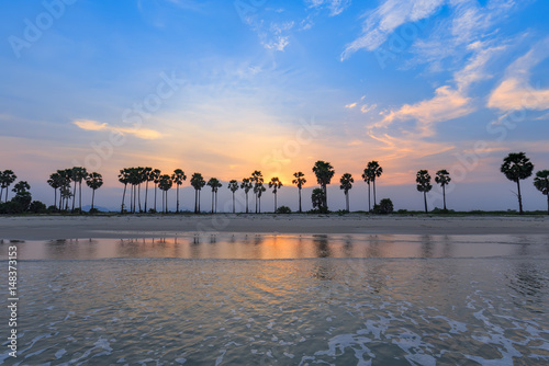 Landscape sunset and Palm Tree at Phetchaburi , Thailand

 photo