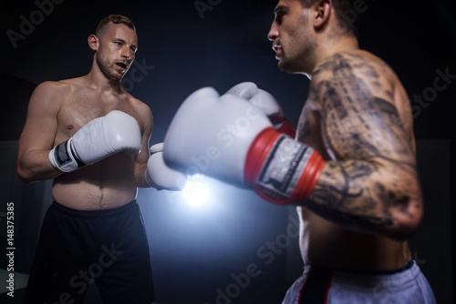 Boxer training with sparring partner © gpointstudio