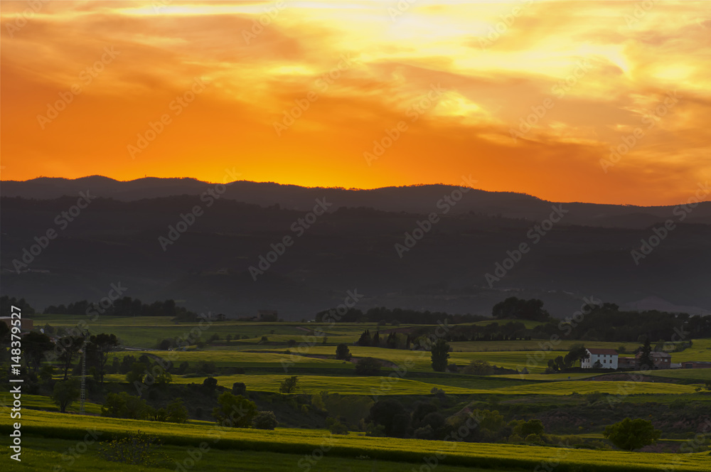 Puesta de sol en el campo