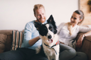 Beautiful couple relaxing at home and loving their dog