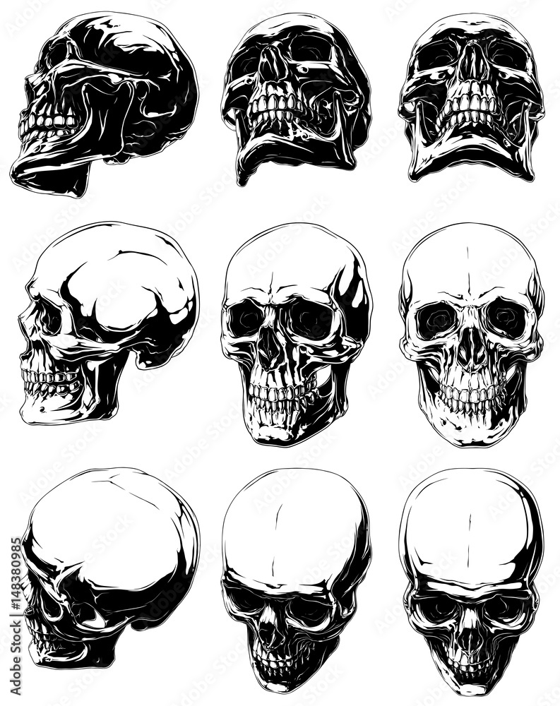 Vector set of 9 cool realistic detailed graphic black and white human skulls in different projections