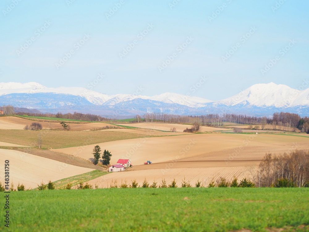 Obraz premium 雪が残る大雪山連邦と素敵な美瑛の風景