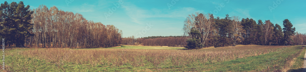 panorama of an beautiful corn field or acker panorama of an beautiful corn field or acker