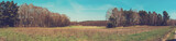 panorama of an beautiful corn field or acker