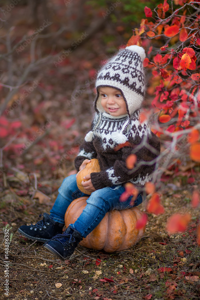 little boy in autumn park enjoying time little boy in autumn park enjoying time