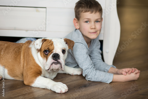 Cute boy plays on the floor on a carpet with puppies of English bulldog