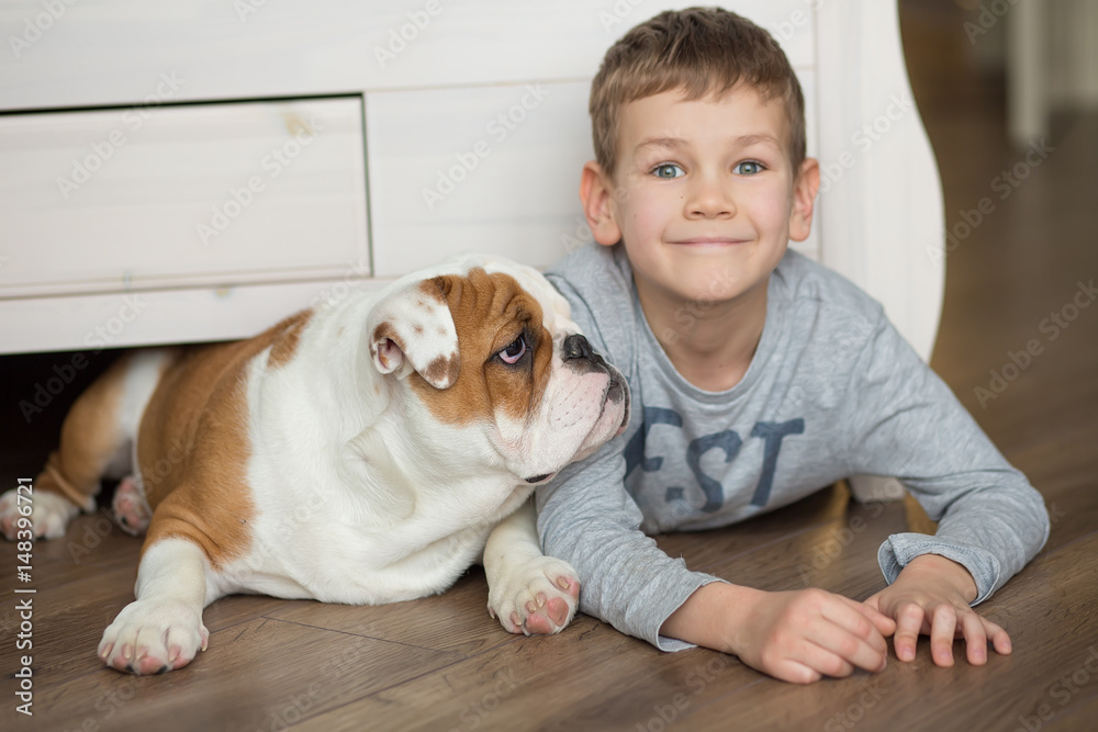 Cute boy plays on the floor on a carpet with puppies of English bulldog