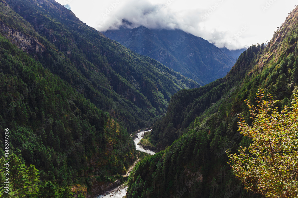 Obraz premium Pure mountain river