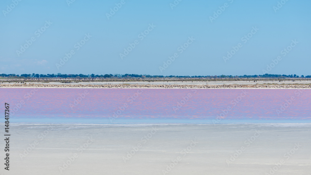 Salt marshes, Camargue, Aigues-Mortes in France