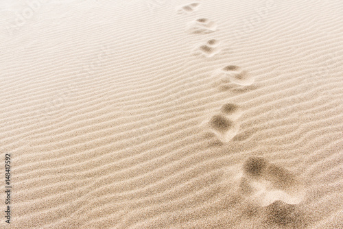 Footprints in the sand