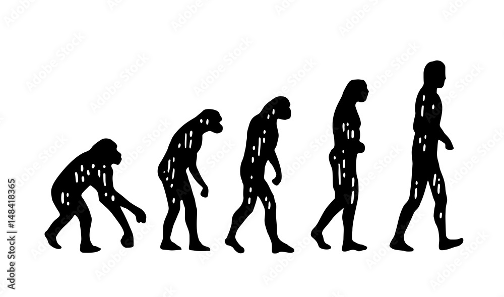 Obraz premium Theory evolution of man. From monkey to man. Vintage engraving