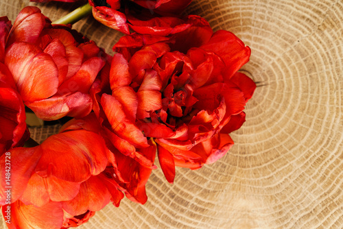 red tulips on the wood background