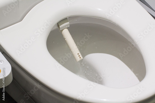 toilet with electronic seat automatic flush, japan style bowl