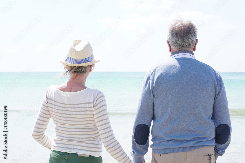 Back view of senior couple looking at the ocean