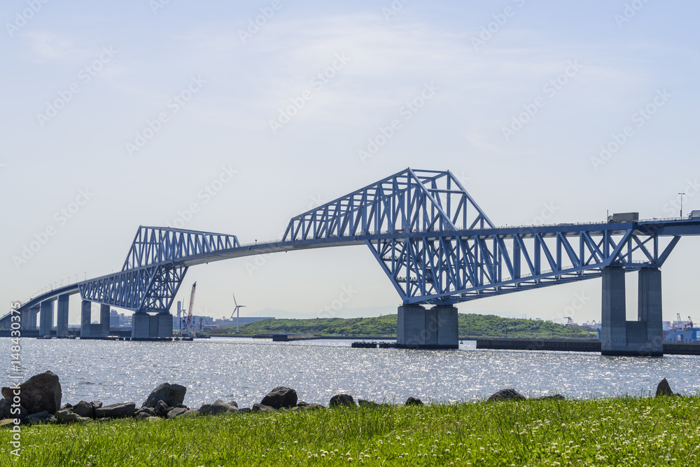 Fototapeta premium 東京ゲートブリッジ