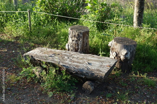 木のベンチ