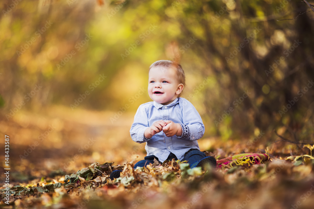 Little boy playing in autumn leaves Little boy playing in autumn leaves
