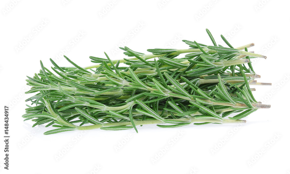 Fototapeta premium rosemary isolated on white background