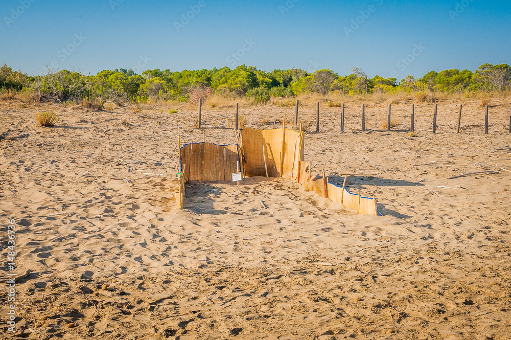 Greece, Zakynthos, Zante - one of famous Caretta turtle nest on the beach